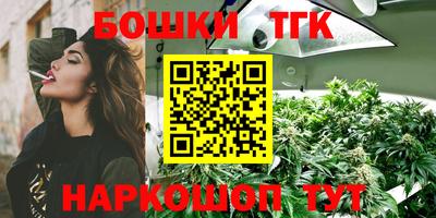 соль ск Будённовск