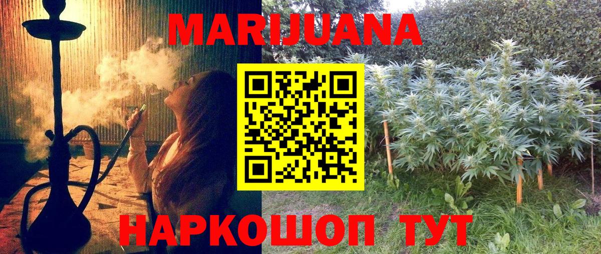 Конопля семена Уссурийск